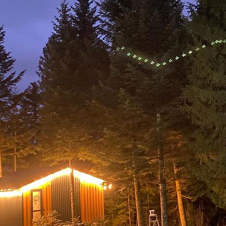 Феєрія Лісу Aparthotel Skhidnytsia Eksteriør bilde