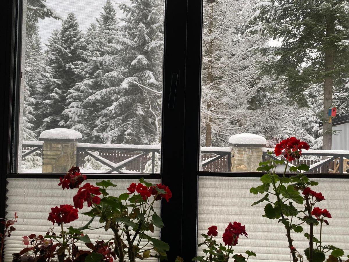Феєрія Лісу Aparthotel Skhidnytsia Eksteriør bilde