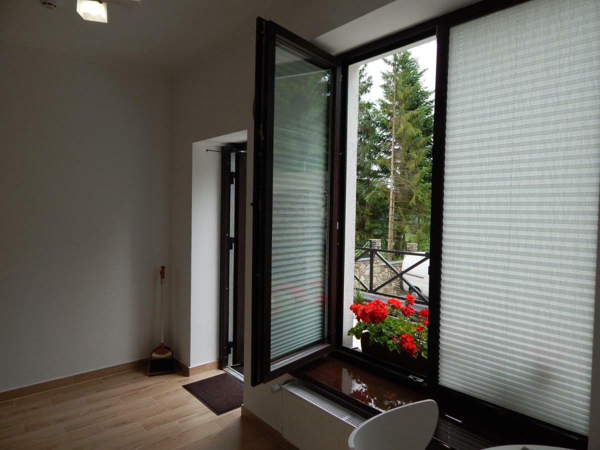 Феєрія Лісу Aparthotel Skhidnytsia Eksteriør bilde